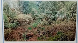 4. Lote com 290 mts2 próx ao tamoio 60.000,00